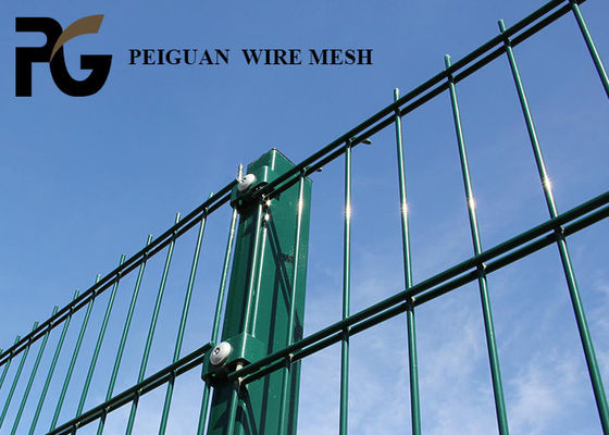 Powder Coated Double Wire Fence Panel