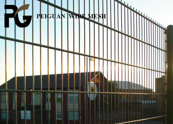Powder Coated Double Wire Fence Panel