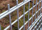 Silver Double Wire Welded Fence , Garden 868 Twin Wire Mesh Fencing