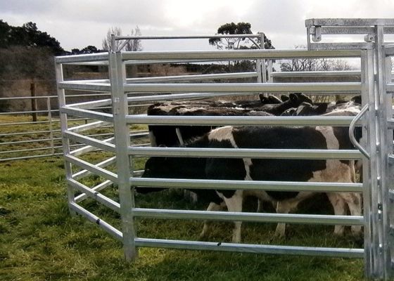 Steel Round Rails Livestock 1.8m Hdg Cattle Yard Panels