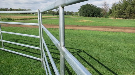 Steel Round Rails Livestock 1.8m Hdg Cattle Yard Panels