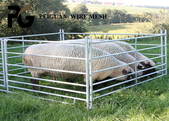 12 Foot Metal Farm Fence Panels , Silver Galvanized Panel Farm Gate