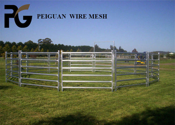 Easily Assembled Cattle Yard Panel , Lightweight Galvanized Cattle Panels