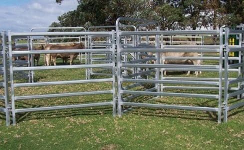 Round Rails Livestock 1.8m Steel Cattle Yard Panels Hot Dipped Galvanized