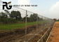 Polyester 50x150mm Roll Top Weld Mesh Fencing High Strength